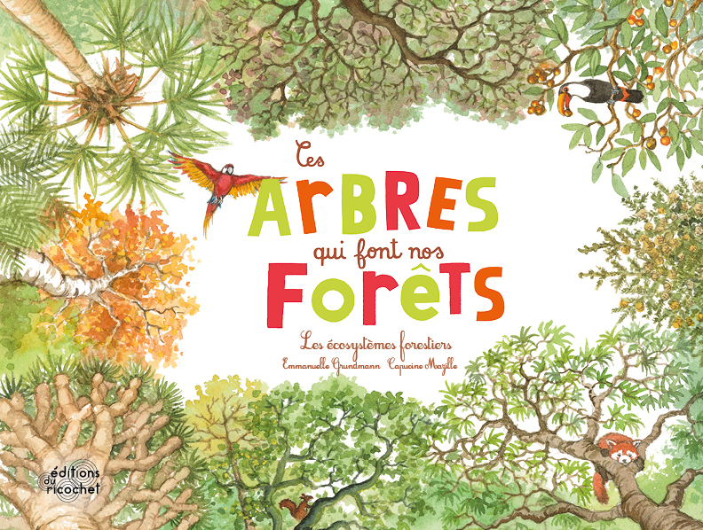 Ces arbres qui font nos forêts - Les écosytèmes forestiers
